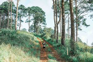 BIB: 
                            <button type="button" onclick="openModal(25652989)" class="btn btn-primary btn-sm float-right btn-popup" data-toggle="modal" data-target=".modal-high-quality">
                        <i class="fas fa-shopping-cart"></i> Add to Cart
                    </button>
                                            <button type="button" onclick="isThisMe(25652989, true)" class="btn btn-success btn-sm float-right btn-popup btn-isme hidden" data-toggle="tooltip" data-placement="bottom" title="นี่คือรูปของคุณใช่ไหม คลิกที่นี่เพื่อเอาเข้าอัลบั้ม">
                        <i class="fas fa-plus"></i> Add to album
                    </button>
                    <button type="button" onclick="isThisMe(25652989, false)" class="btn btn-warning btn-sm float-right btn-popup btn-isnotme hidden">
                        <i class="fas fa-ban"></i> Remove from album
                    </button>